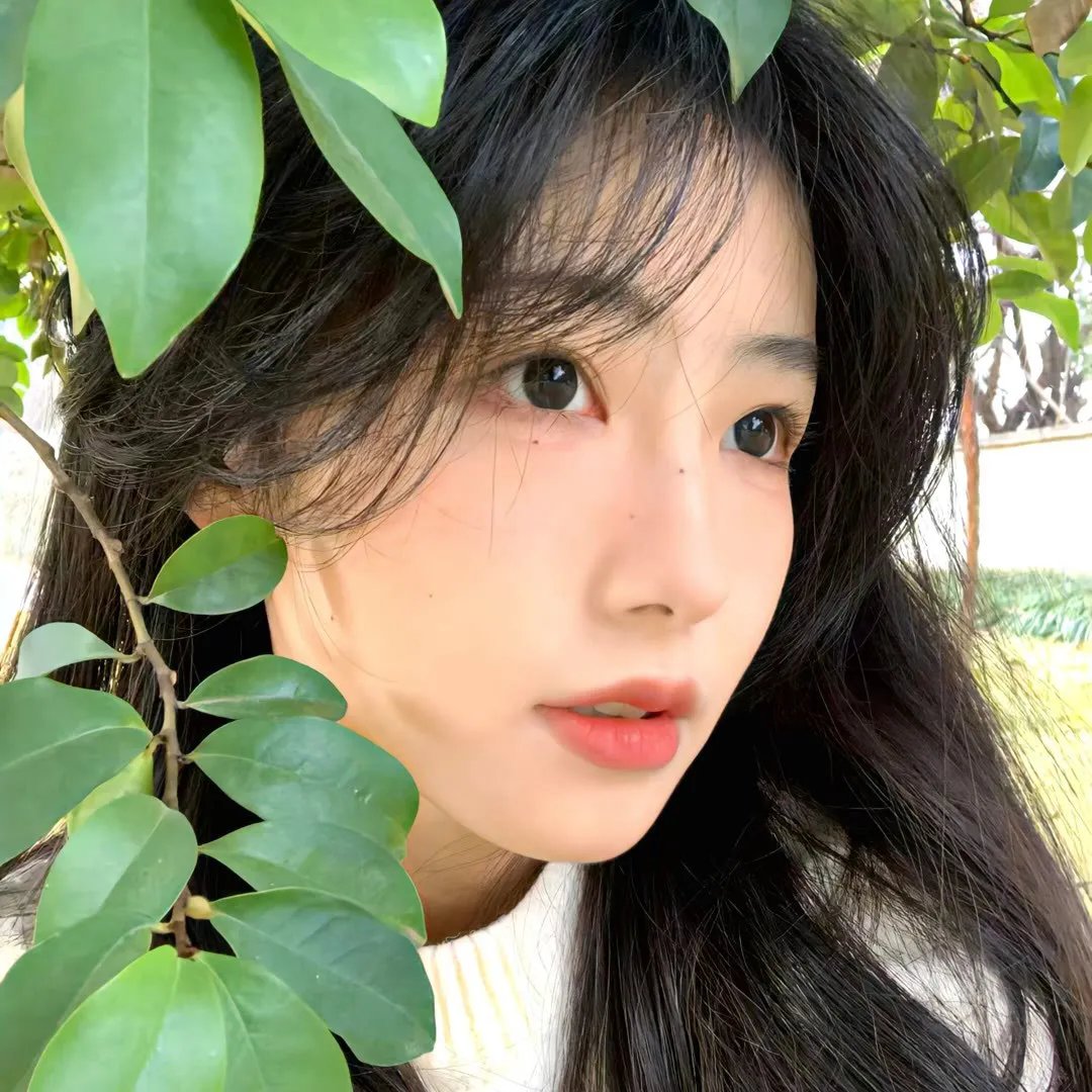 你是我老板